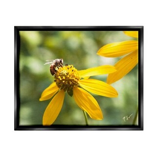 Stupell Bee on Daisy Photography Framed Floater Canvas Wall Art Design ...
