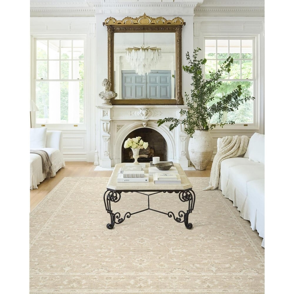 Nabela Noor Home x Livabliss Asha Traditional Area Rug
