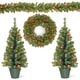 preview thumbnail 1 of 1, National Tree Company Promotional Assortment with Battery Operated LED Lights - 3 ft