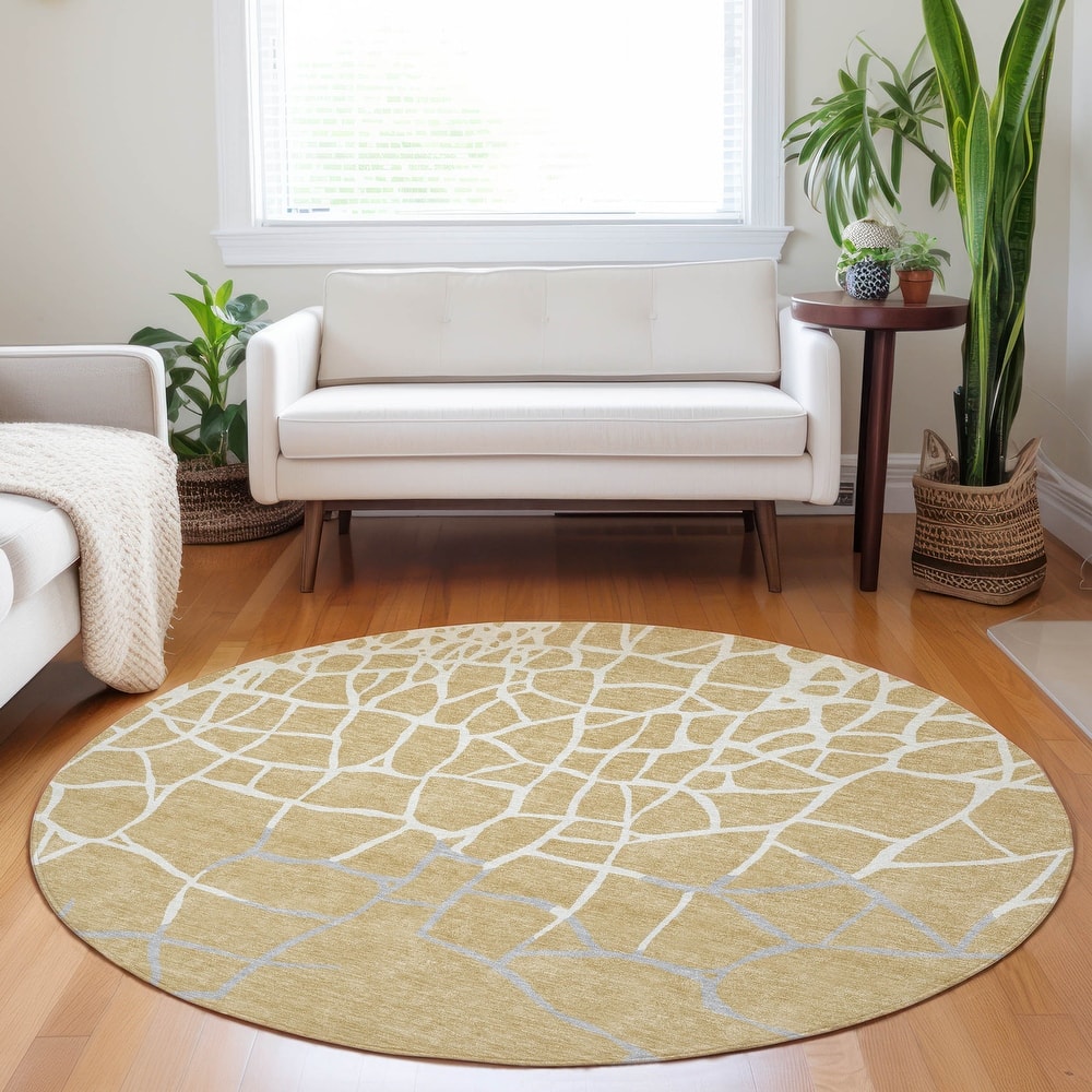 Machine Washable Indoor/ Outdoor Abstract Webby Chantille Rug