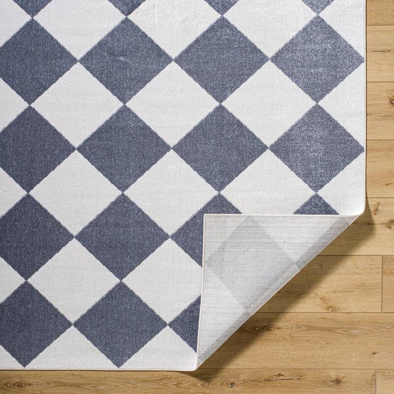 Livabliss Lillian Modern & Contemporary Checkered Indoor/Outdoor Area Rug