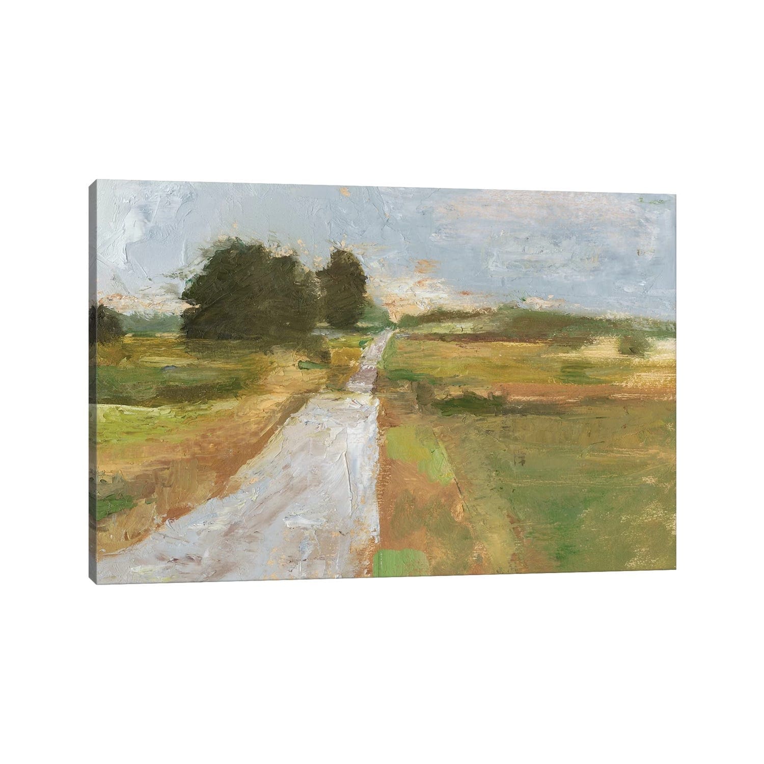 iCanvas "Back Country Road I" by Ethan Harper Canvas Print
