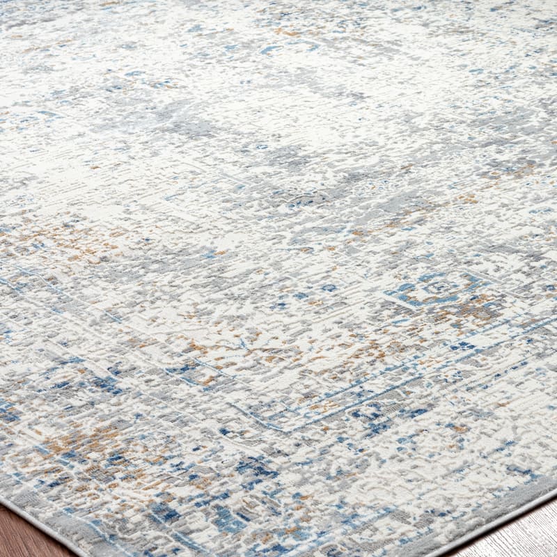 Lumina Vintage Transitional and Contemporary Area Rug