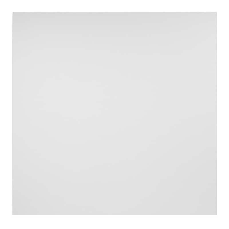 Genesis Border Fill White 2 x 2 ft. Lay-in Ceiling Tiles