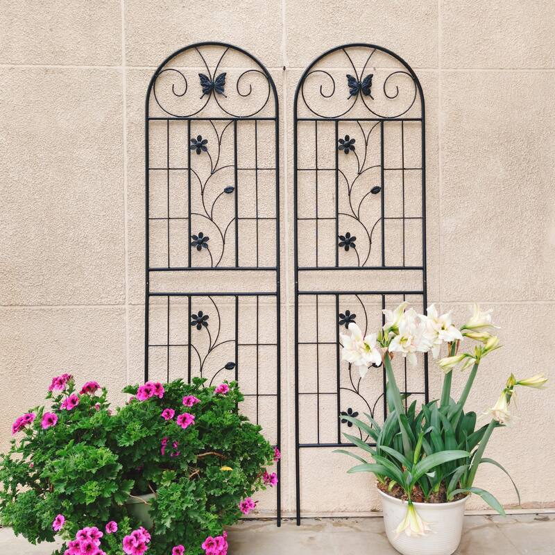 2 Pack Metal Garden Trellis 71in x 19.7in Rustproof Trellis