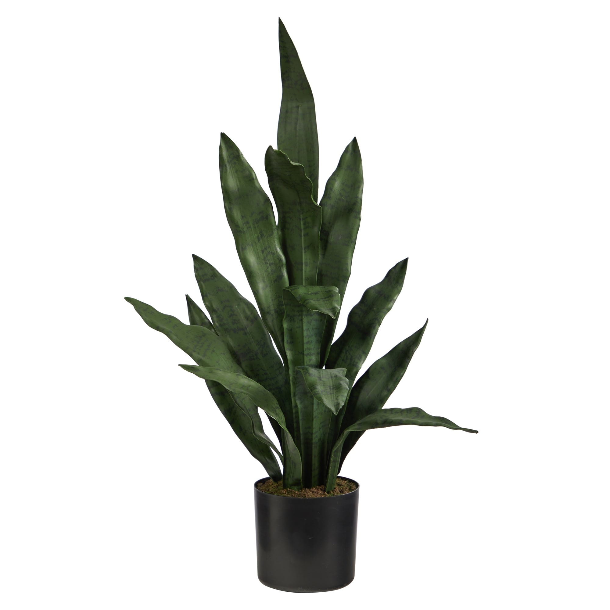 2' Sansevieria Artificial Plant - 6"