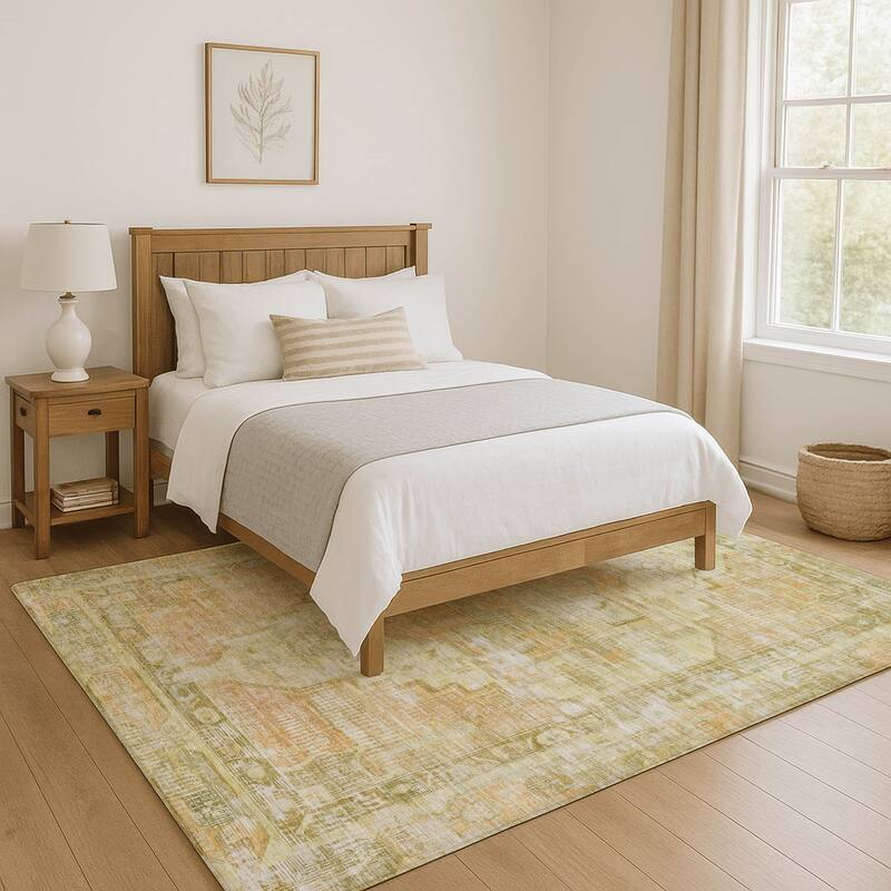 Premium Washable Super Soft Vintage Traditional Mayfield Rug