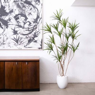 Artificial Dracaena Potted Tree - 6' - Green