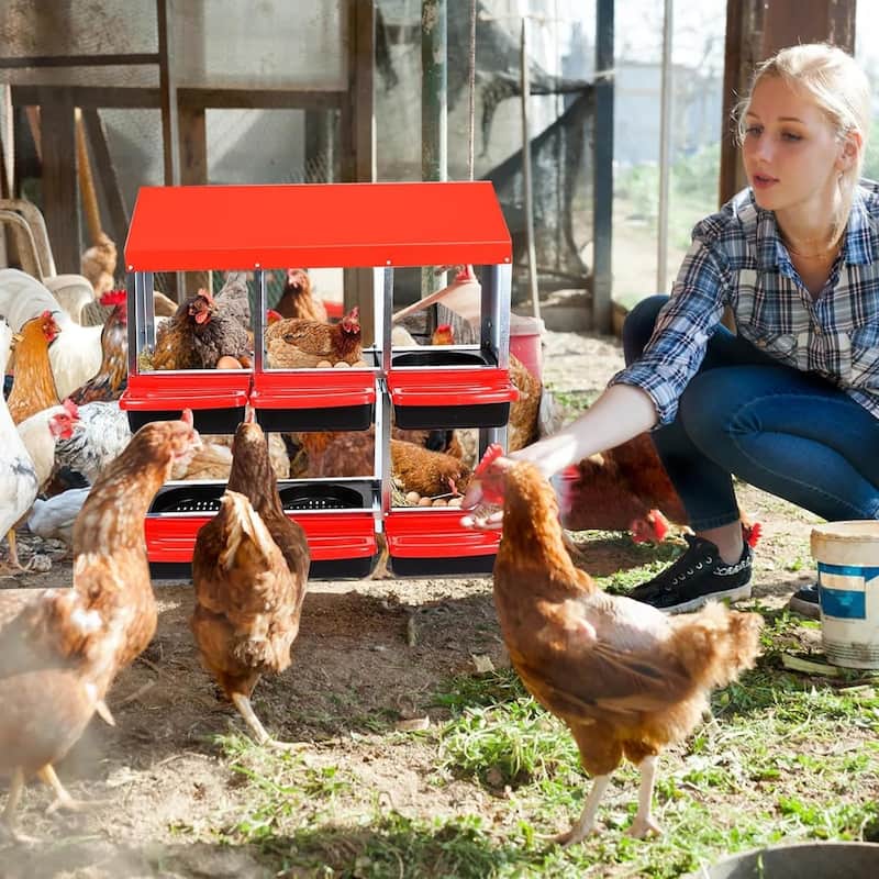 Metal Chicken Nesting Box