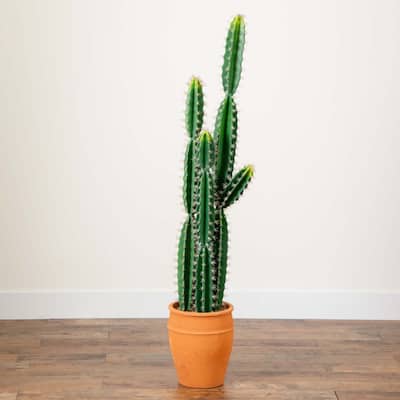 Cactus Artificial Plant with Terracotta Planter - 5'