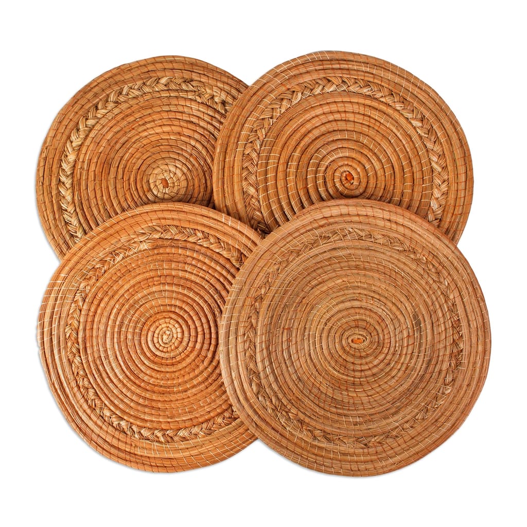 Novica Handmade Forest Circles Pine Needle Placemats (Set Of 4)