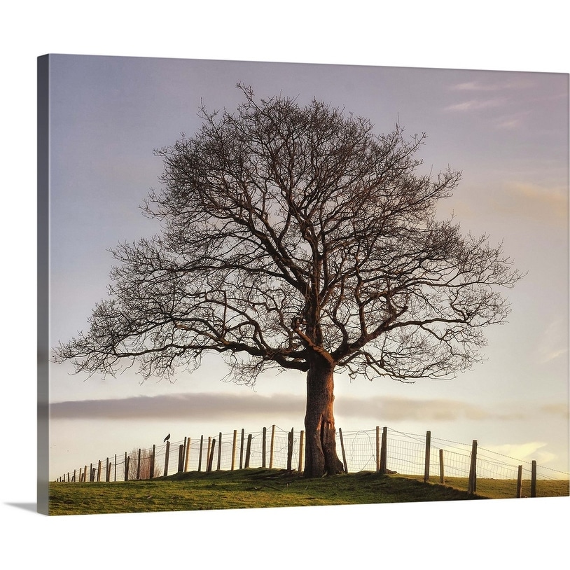 Shop Large Tree In Center Of Fence With Bird Sitting On Fence At
