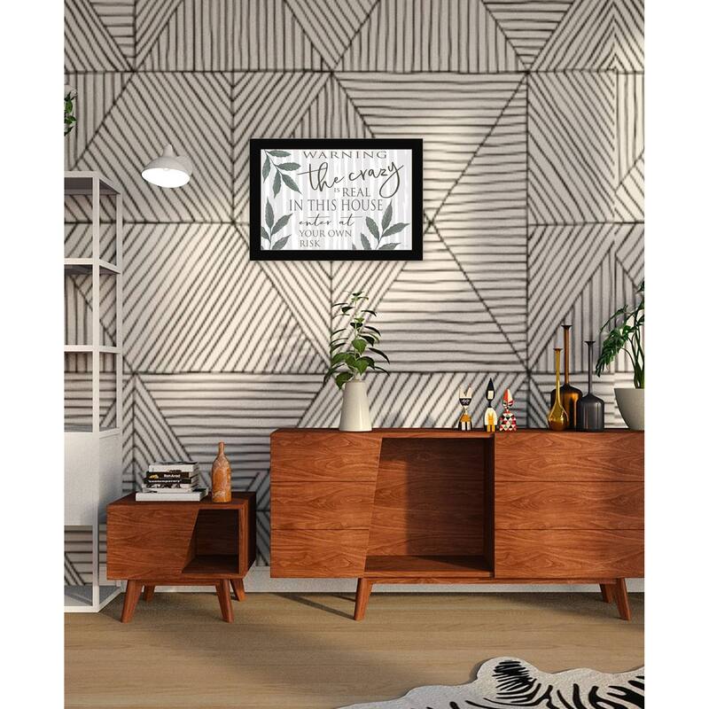 TrendyDecor4U Contemporary "The Crazy is Real" Framed Print Wall Art