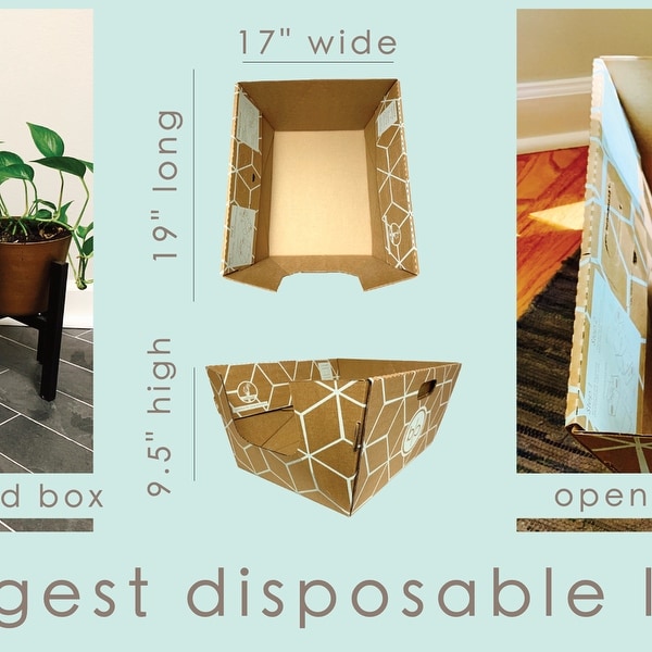 Cats Desire Disposable Litter Boxes Biodegradable Extra Large 3