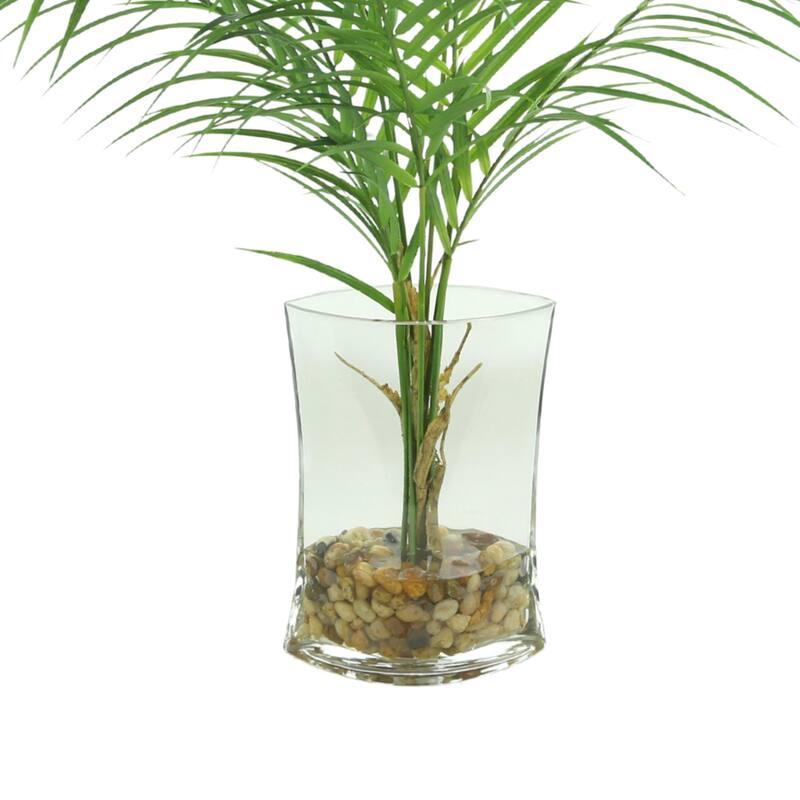 Areca Palm in Vase with Rocks and Acrylic Water - Green
