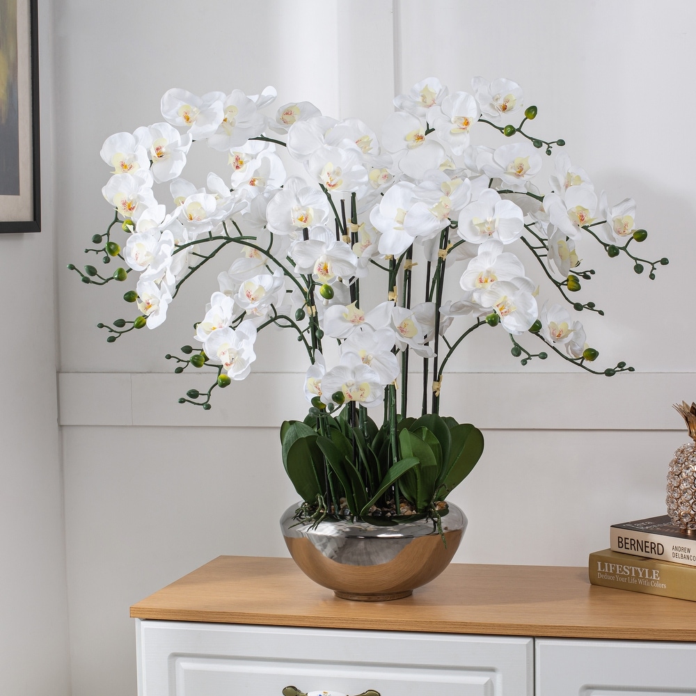 https://ak1.ostkcdn.com/images/products/is/images/direct/8d80bec5990b80b2de9f52d1aa5f64f491b61c1d/14-Stems-Real-Touch-White-Phalaenopsis-Orchids-with-Green-Leaf-in-Silver-Ceramic-Pot--.jpg