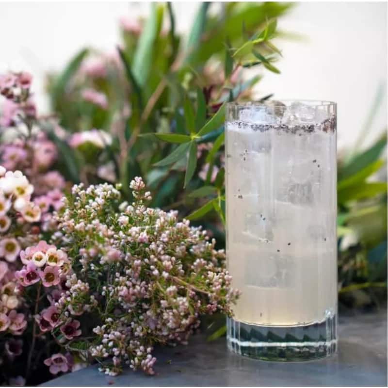 Luigi Bormioli Bach Beverage Drinking Glass Set of 4 - 16.25 oz