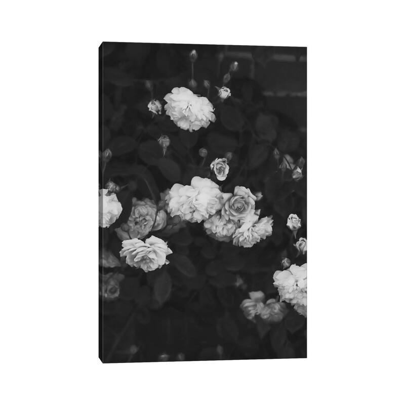 iCanvas "Black And White Roses" by Ruby and B Canvas Print