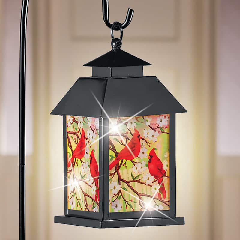 Solar Powered Floral Cardinals Lantern with Shepherd's Hook - 5.25 x 36.25 x 5.25 - Black - 5.25 x 36.25 x 5.25 - Iron