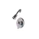 Option Polished Chrome
