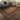 Dream Decor Rugs Parish Altai Southwestern Wool Area Rug