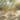 SAFAVIEH Outdoor Living Stella Square Bistro Table - 24" W x 24" D x 30" H
