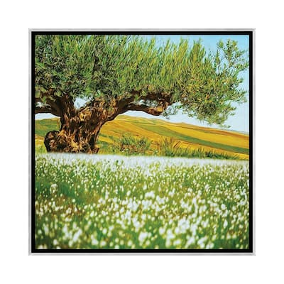 iCanvas quot Beautiful Landscape Of An Old Olive Tree On The Background Of