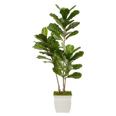 5.5' Fiddle Leaf Artificial Tree in White Metal Planter UV Resistant - 11.5"