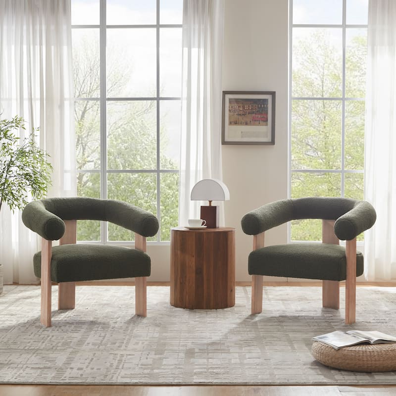 Accent Chair Living Room Chair with Solid Wood Frame