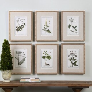 Uttermost Green Floral Botanical Study Prints (Set