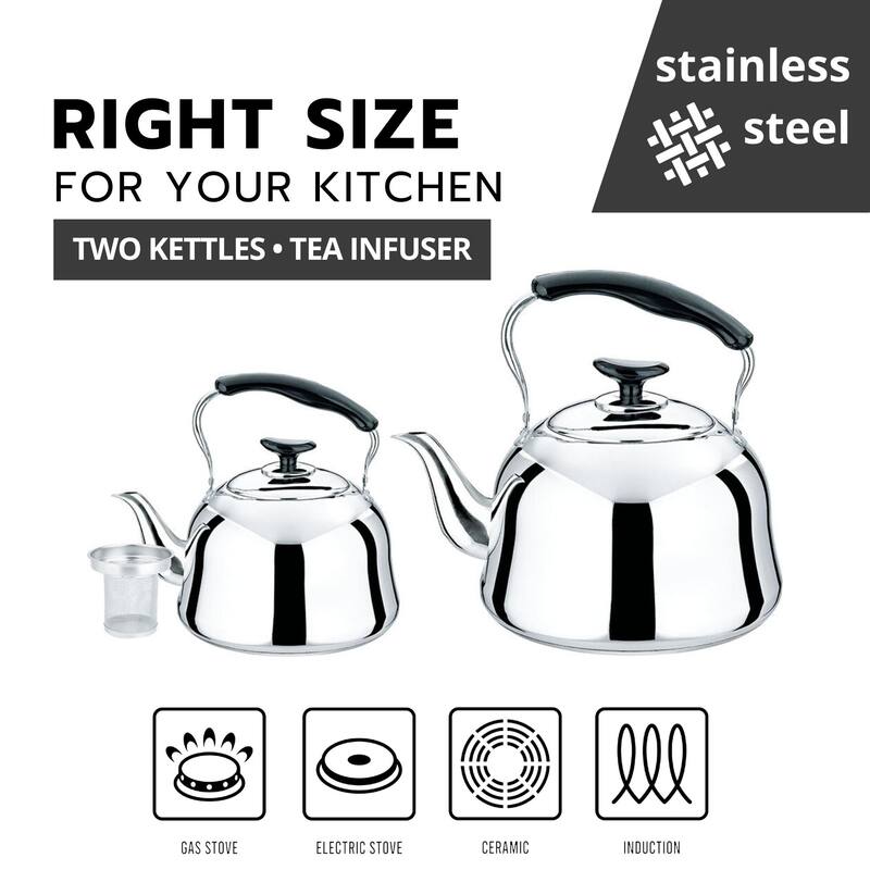 STP Goods Stainless Steel Kettles with Infuser Set of 2 - Setof2