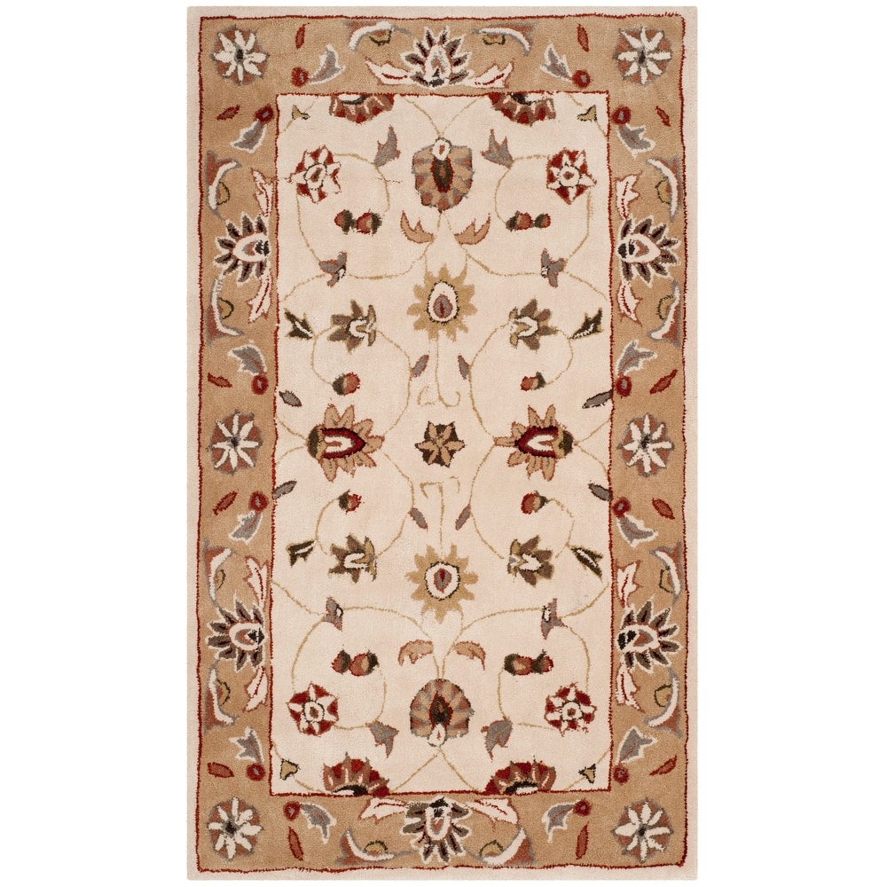 SAFAVIEH Handmade Total Performance Sofiea Oriental Rug