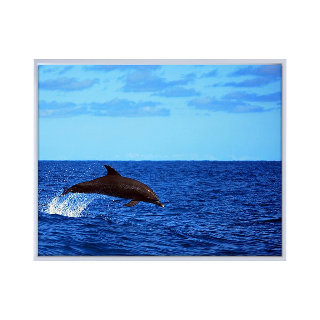Ready2HangArt 'Dolphin' Framed Canvas Wall Art