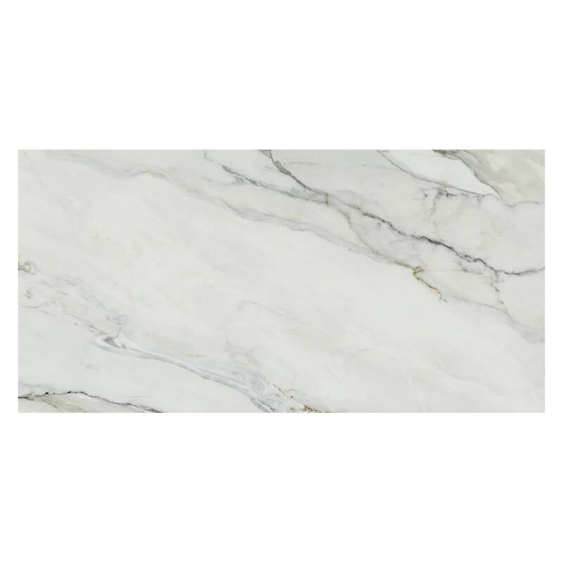 Apollo tile 24" x 48" Splendor Matte White with Gray Vein Porcelain Tile (15.42 sq ft/case) - 2 Pack