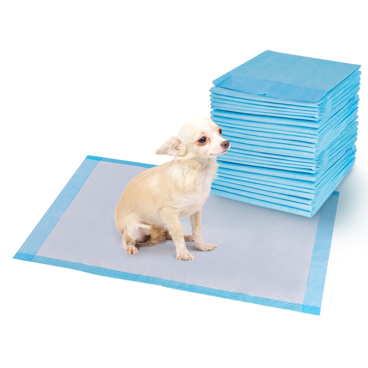 Wiwi pads for dogs clearance