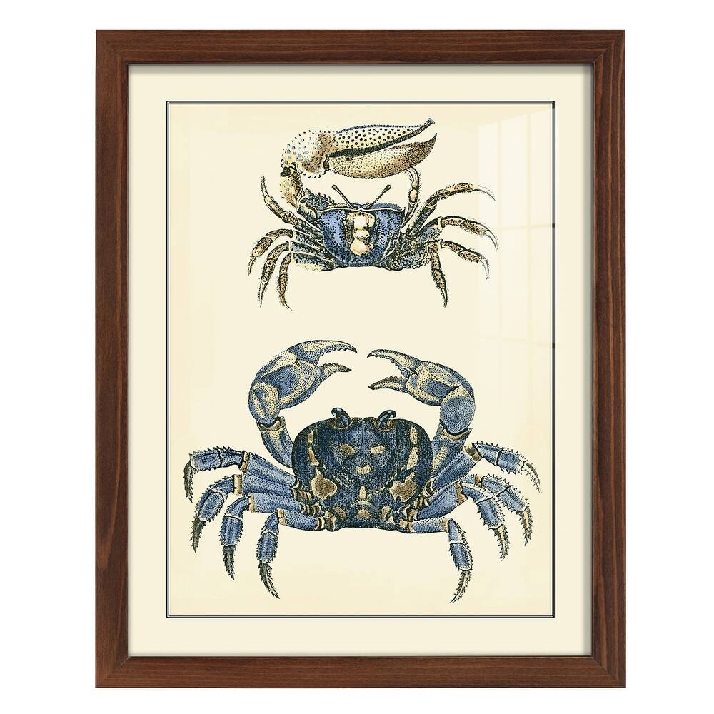 Antique Blue Crabs II -Framed Print w/glass-Cherry Red