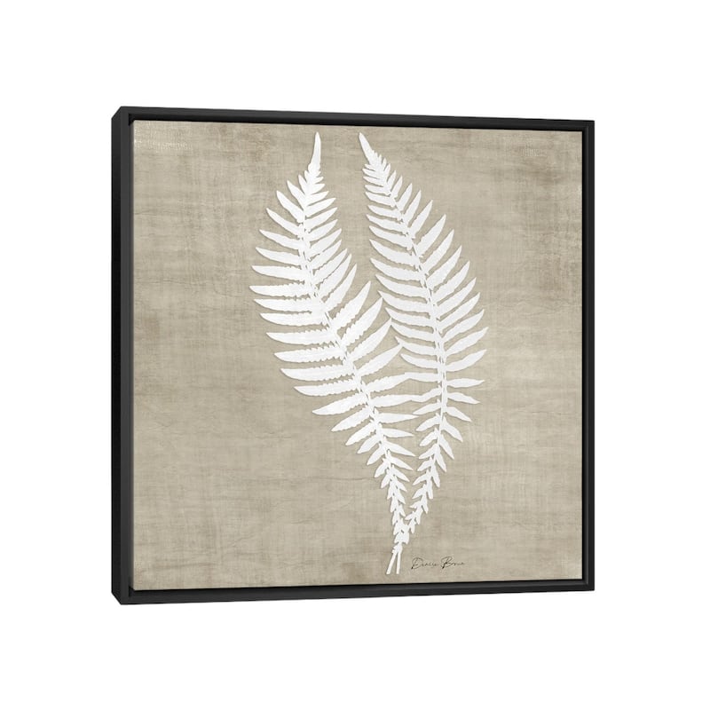iCanvas "Natures Fern II" by Denise Brown Framed - Black - 26x26