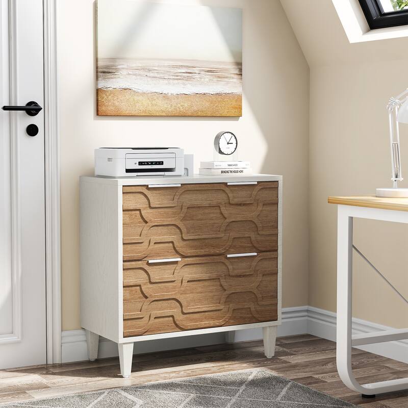 2 Drawer File Cabinet for Home Office, Filling Cabinet for A4/Letter/Legal Size