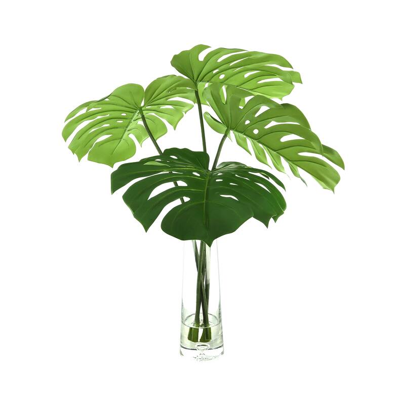 Organic Modern Philo Arranged in Clear Glass Vase - Green