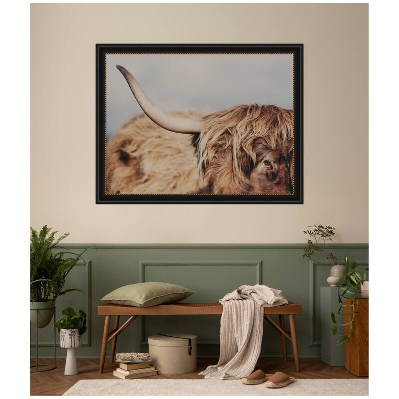 Kate and Laurel Highland Cow No. 4 Close by Laura Evans Framed Wall Art Print
