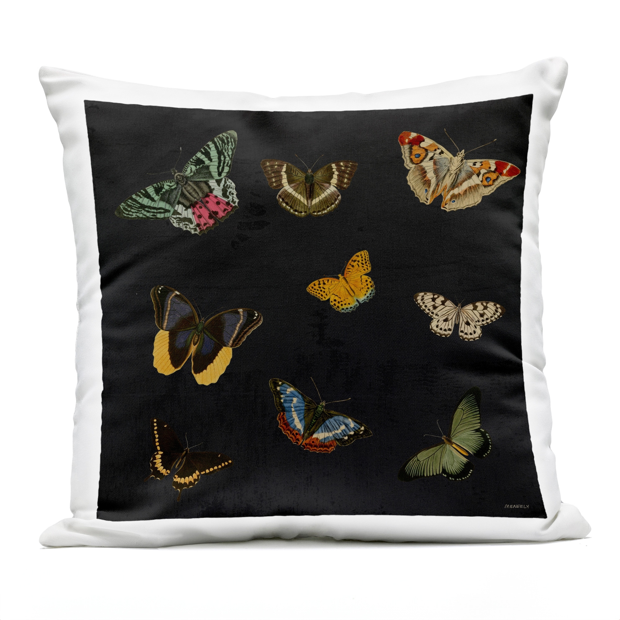 Stupell Vintage Butterflies on Black Printed Outdoor Throw Pillow Design by Dan Meneely