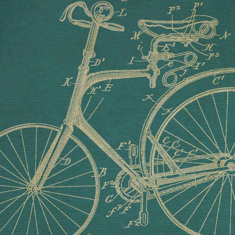 Velocipede I by Grand Image Canvas Art Print