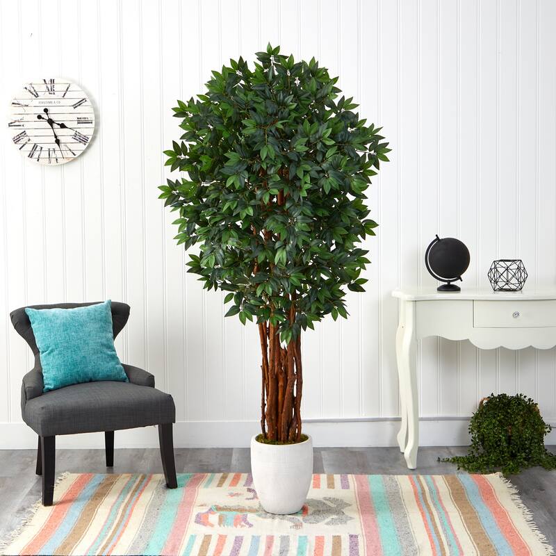 Artificial Lychee Tree 6ft Southwestern Decor White Planter Indoor Outdoor Plant - Green - 61 Inches and Over