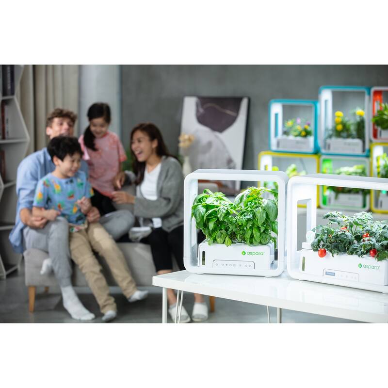 Aspara Growgreen Stylist Lite Smart Grower