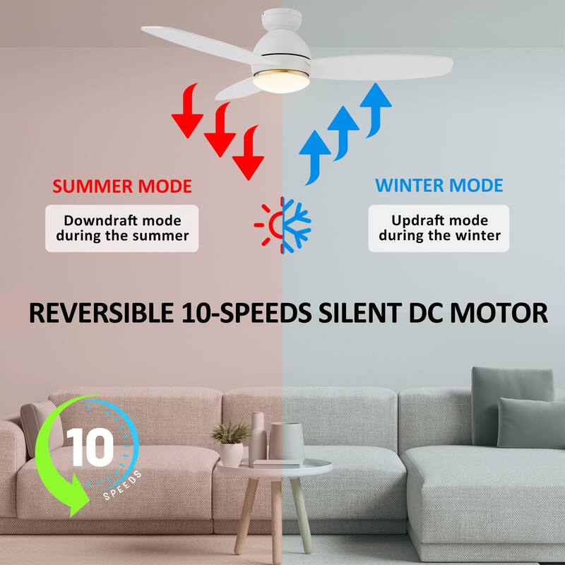 CARRO Quest 48" Smart Ceiling Fan with Light and Remote Control