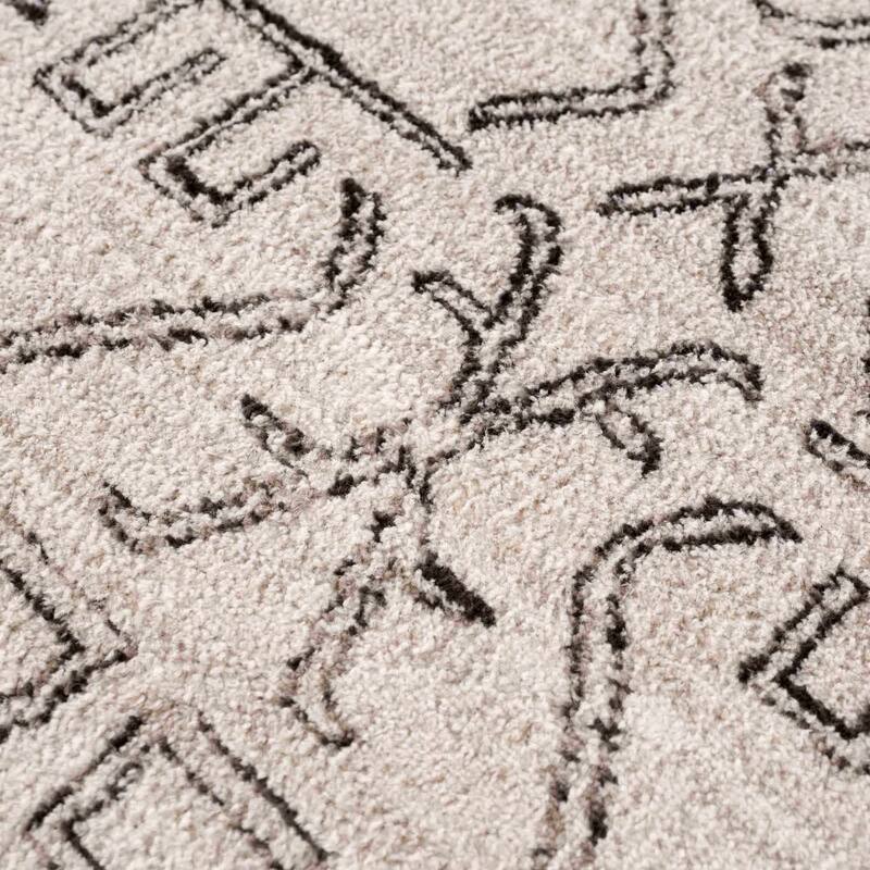 Pertek Bohemian Farmhouse Traditional Area Rug