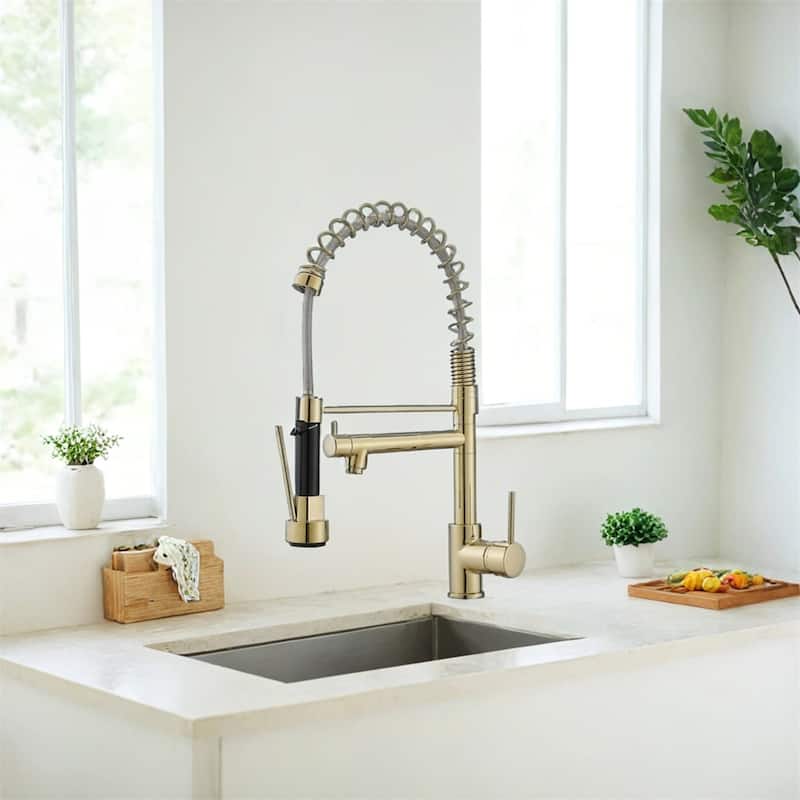 Kitchen Faucet w/Pull Down Sprayer,Single Lever Kitchen Sink Faucet
