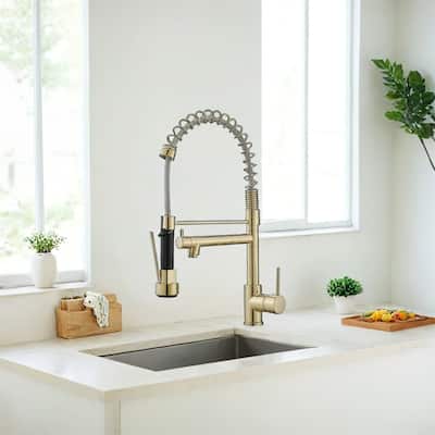 Kitchen Faucet w/Pull Down Sprayer,Single Lever Kitchen Sink Faucet