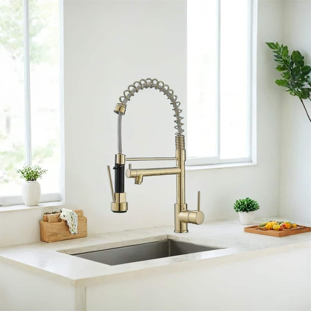 Kitchen Faucet w/Pull Down Sprayer,Single Lever Kitchen Sink Faucet
