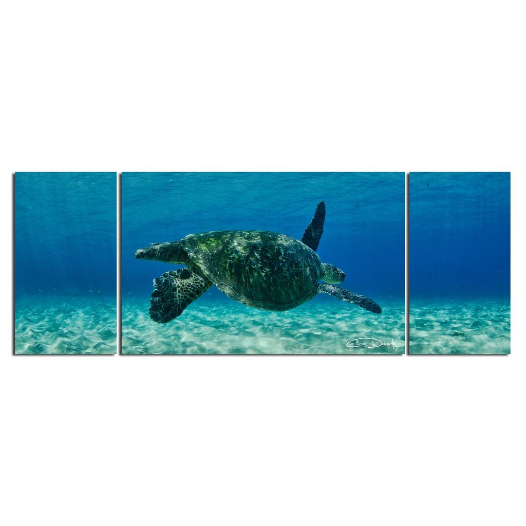 Ready2HangArt 'Maui Turtle Drifter' 3-Piece Wrapped Canvas Wall Art Set